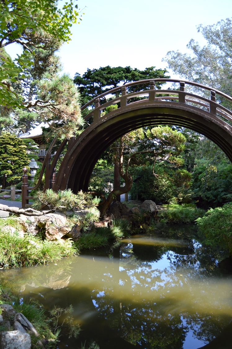 San Francisco Japanese Tea Garden - Midgins' Blog